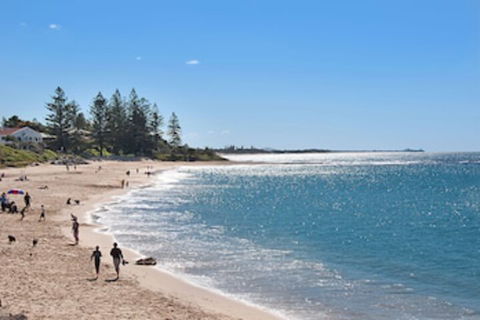 Norfolks On Moffat Beach - Hobart Tourism 0