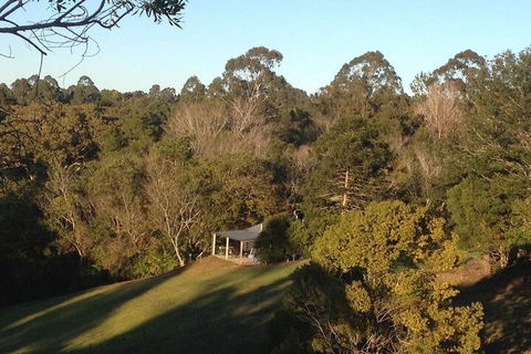 Jacaranda Cottages - Hobart Tourism 3