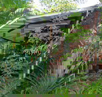 Mt Warning Rainforest Retreat - Hobart Tourism