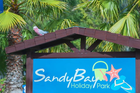 Sandy Bay Holiday Park - Hobart Tourism 0
