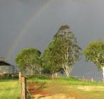 CBR Equine Cottage - Hobart Tourism