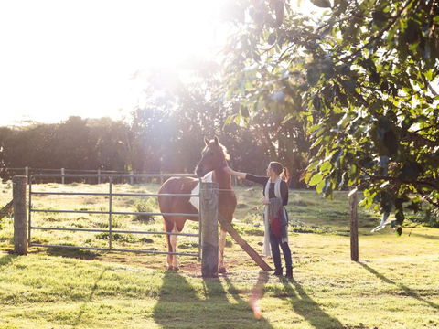 Bridle Guesthouse - Hobart Tourism 6