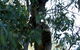 Friends At McLaren Vale - thumb 1