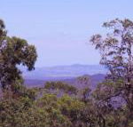 Ravensbourne Escape Cedar Lodge - Tourism TAS
