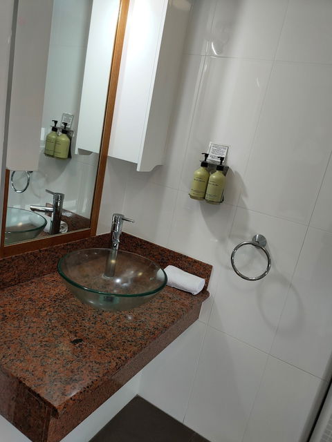 Ayr Travellers Motel - Tourism TAS 5