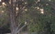 Huskisson Beach B&B - thumb 2