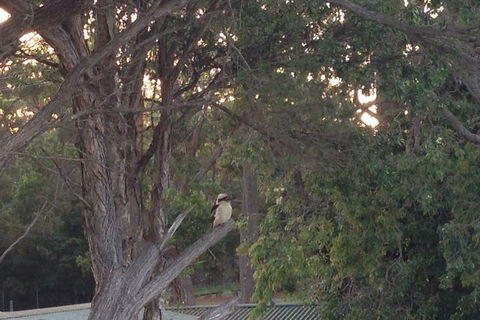 Huskisson Beach B&B - Hobart Tourism 2