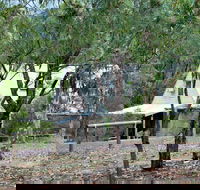 Woodlane Cottages - Hobart Tourism
