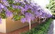 Bendles Cottages And Country Villas - thumb 4