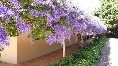 Bendles Cottages And Country Villas - Hobart Tourism 4