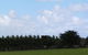 Karingal Homestead B & B - thumb 5