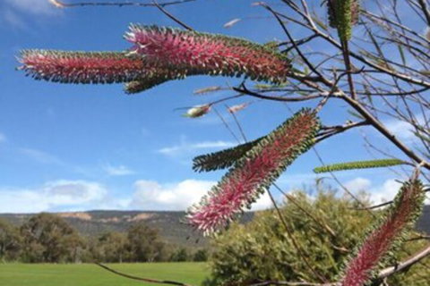 Blaze Rock Retreat - Tourism TAS 3