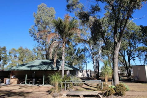AAOK Jandowae Accommodation Park - Tourism TAS 0