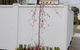 Connells Motel & Serviced Apartments - thumb 0