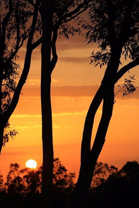 Bella Wind Bed & Breakfast - Hobart Tourism 3