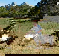 Country Cottages of Bridgetown - Tourism TAS