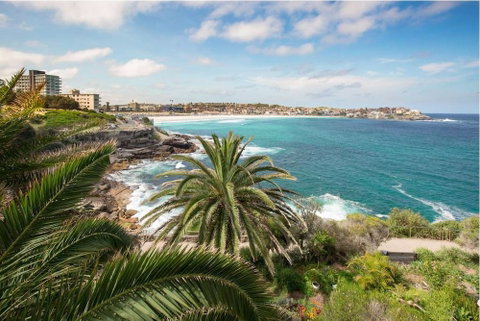 Ultimate Bondi Escape 2 - Tourism TAS 6