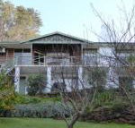 Sea Banksia - Tourism TAS