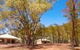 Ikara Safari Camp - thumb 5
