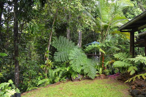 Tropical Bliss Bed & Breakfast - Tourism TAS 6