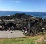 Sea Whispers - Tourism TAS