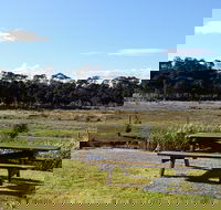 Pelican Point Sanctuary - Tourism TAS