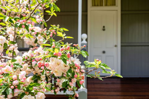 Apple Blossom Cottage - Tourism TAS 0