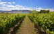 Riversdale Estate Cottages - thumb 0
