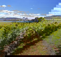 Riversdale Estate Cottages - Hobart Tourism