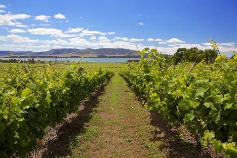 Riversdale Estate Cottages - Hobart Tourism 0