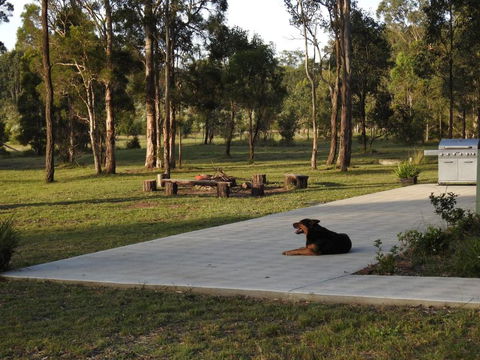 Wallaby Cottage Cute Accom In Bushland Setting - Hobart Tourism 3