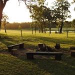 Wallaby Cottage Cute Accom In Bushland Setting - Hobart Tourism 0