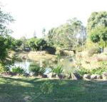 Still Waters - Hobart Tourism