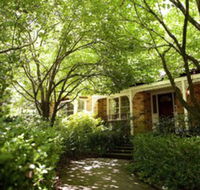 Leura Camellias - Tourism TAS