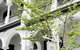 Hotel Challis Potts Point - thumb 4