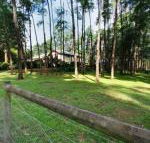 Fernglade on Menzies - Hobart Tourism