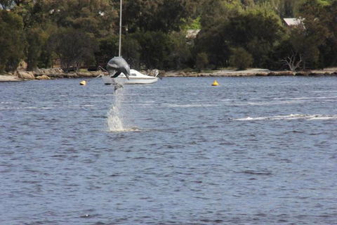 Tani Hill - Hobart Tourism 1