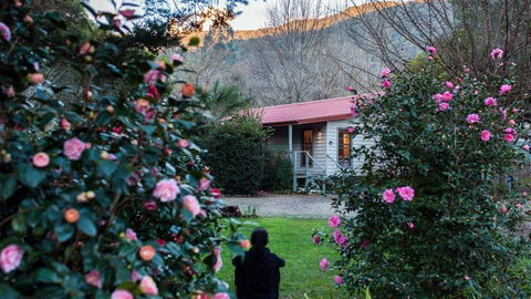 Mystic View Cottage Wandiligong - Tourism TAS 0