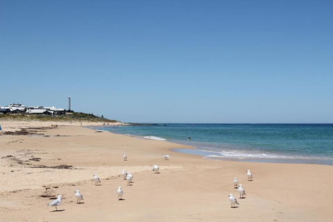Bluebird Cottage - Tourism TAS 4