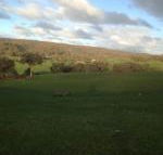 Mancuso Country Cottage Retreat - Tourism TAS
