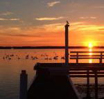 Bayview Boathouse - Tourism TAS
