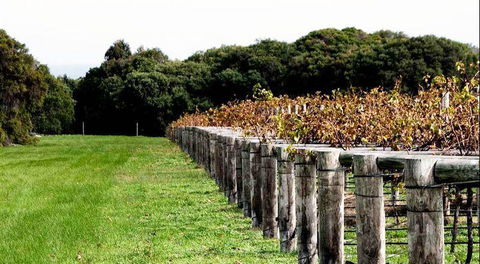 Arimia Restaurant And Winery - Hobart Tourism 5