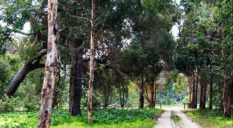 Arimia Restaurant And Winery - Hobart Tourism 7