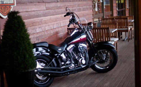 Harley Ironhorse Bar & Grill - Tourism TAS 16