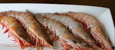 Tapas Tapas Bodega - Tourism TAS 22