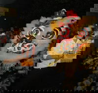 Lion Dance - Hobart Tourism