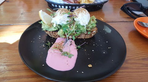 The Blue Dog - Hobart Tourism 0