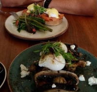 Brew - Hobart Tourism
