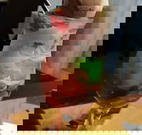 Jai Ho Indian Restaurant - Hobart Tourism