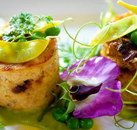 Fork to Fork - Hobart Tourism